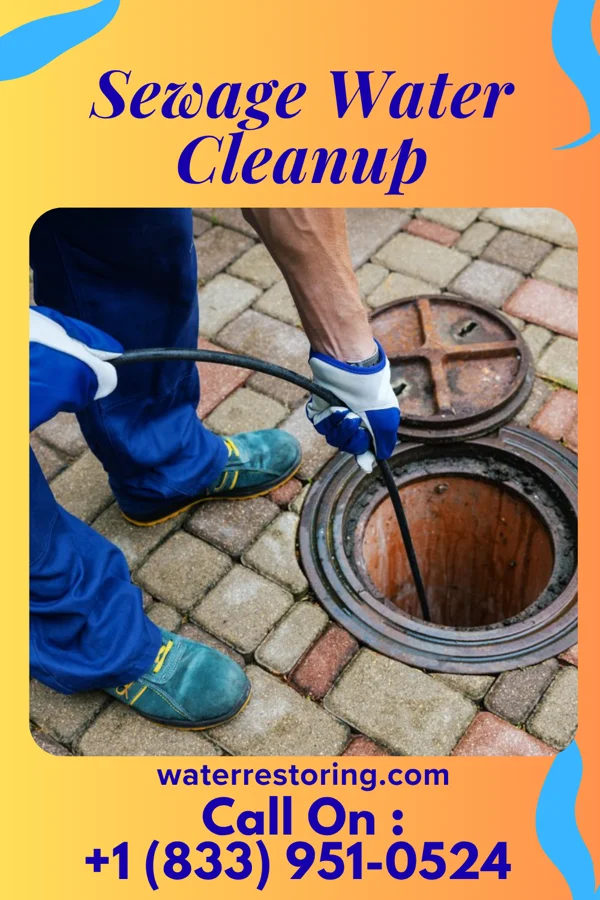 Sewage Water Cleanup in West Denton, MD